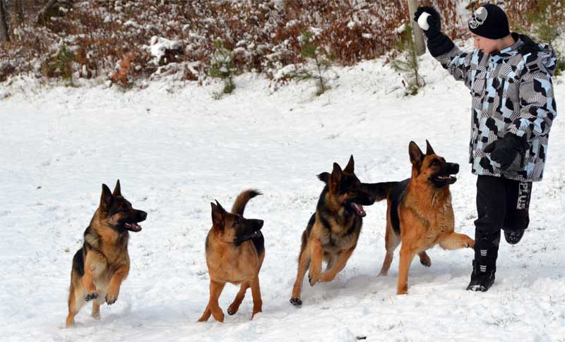 Nos Filles ! Decembre 2011