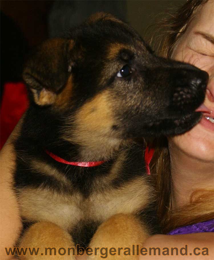 Dali, la petite est partie dans la région de Jonquière, saguenay lac st-jean!